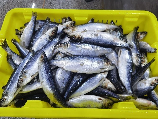 info-640-480
